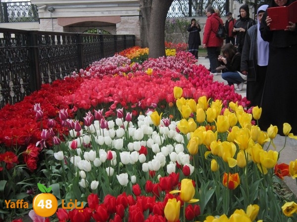 istanbul42500 (59).JPG